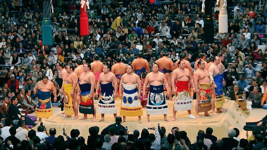 Sumo wrestling